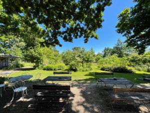 un grupo de mesas de picnic y sillas bajo un árbol en Forest Garden Shovelstrode en East Grinstead