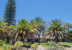Villas La Gomera في Alajeró: منزل أمامه أشجار نخيل