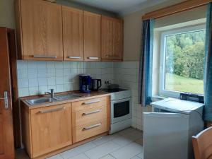 Kuchyň nebo kuchyňský kout v ubytování Ferienwohnung Vertatschablick