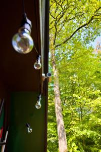 een licht hangend aan een raam kijkend naar een boom bij A- Frame huisje Ardennen in Durbuy