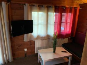 a living room with a tv and a vase on a table at Naturpark Kanone in Markersdorf