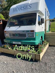 Gallery image of Pant y Rhedyn Glamping and camping site in Abergele