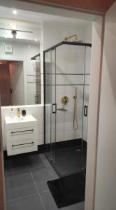 a bathroom with a shower and a sink at SLASKA 12 in Gdańsk