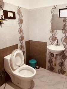 La salle de bains est pourvue de toilettes et d'un lavabo. dans l'établissement Hotel Solitaire - With Best View of Mountains, à Manali
