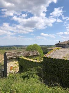 an old stone house with ivy on the roofs at Les Garrigues Bleues in Tornac