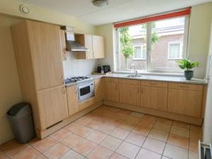 Η κουζίνα ή μικρή κουζίνα στο Holiday Home Dorregeest-1 by Interhome