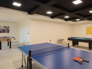 una mesa de ping pong en una habitación con una pelota de ping pong en Villa Old Olive VIII by Interhome, en Vodnjan