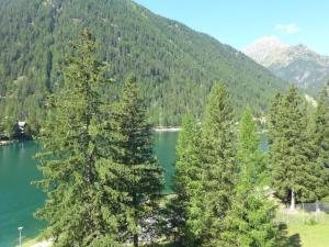 uma vista para um lago com árvores em frente a uma montanha em Apartment Alpes et Lac 28 by Interhome em Champex