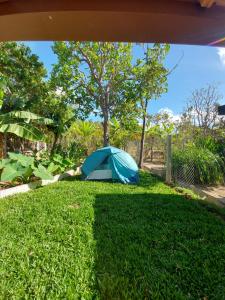 een blauwe tent in het gras in een tuin bij Camping Serra Santana in Cavalcante