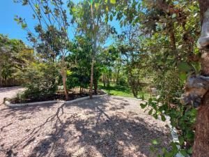 un parque con árboles y un camino de tierra en Camping Serra Santana en Cavalcante