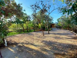 Zahrada ubytování Camping Serra Santana + 26 fotografií