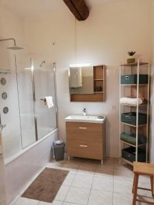 a bathroom with a sink and a shower at Orange: appartement pratique et idéalement placé in Orange