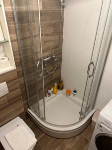 a shower stall in a bathroom with a toilet at Apartment Story,Kajmakcalanska Beograd in Belgrade