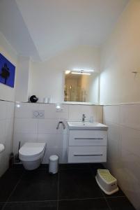 La salle de bains est pourvue de toilettes, d'un lavabo et d'un miroir. dans l'établissement Meeresblick-Storchennest-Haus-1-WE-13, à Hohwacht