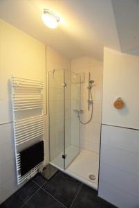 a bathroom with a shower with a glass shower stall at Meeresblick-Storchennest-Haus-1-WE-13 in Hohwacht