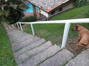 a dog sitting on some steps next to a fence at Chalé Serra Cantareira in Mairiporã