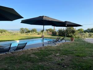 a group of chairs and umbrellas next to a pool at Terre Luberon in Pertuis