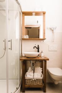 La salle de bains est pourvue d'un lavabo et d'une douche. dans l'établissement Vila Ana, à Štanjel