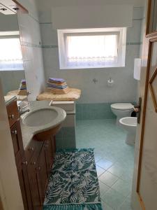 La salle de bains est pourvue d'un lavabo et de toilettes. dans l'établissement Appartamento Vanoi nel cuore verde del Trentino, à Canal San Bovo
