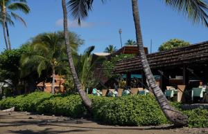 Zahrada ubytování Hotel Molokai