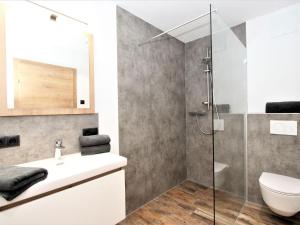 La salle de bains est pourvue d'une douche, de toilettes et d'un lavabo. dans l'établissement Apartment Bernadette by Interhome, à Aschau