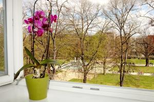Vonkajšia záhrada v ubytovaní Apartmá v srdci Poděbrad