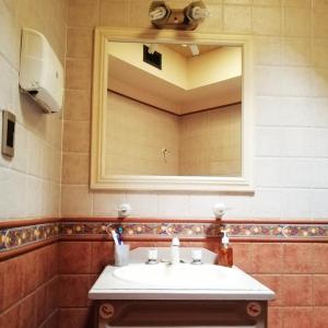 een badkamer met een wastafel en een spiegel bij La Casa del Paraná - San Pedro in San Pedro