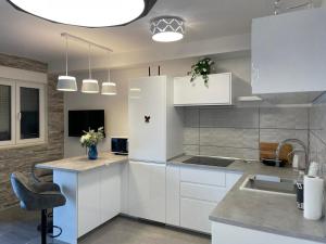 Kuchyňa alebo kuchynka v ubytovaní Apartment LJUBICA