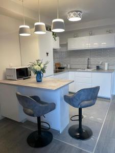 Kuchyňa alebo kuchynka v ubytovaní Apartment LJUBICA