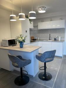 Kuchyňa alebo kuchynka v ubytovaní Apartment LJUBICA + 12 fotografií