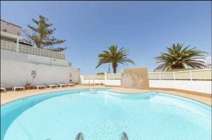 einen großen Pool mit Stühlen und Palmen in der Unterkunft Casa lele en anfi del mar in Los Caideros