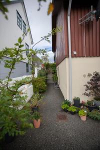 a hallway with potted plants next to a building at Lovely 2- bedroom apartment in central Tórshavn in Tórshavn