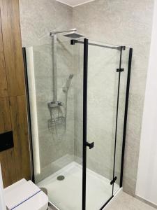 W łazience znajduje się prysznic ze szklanymi drzwiami. w obiekcie ApartamentCentrum-CHARLOTTE -PARKING- w mieście Bolesławiec