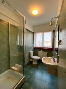 y baño con lavabo, ducha y aseo. en Villa Verona en Cracovia