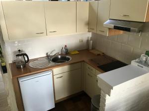 a small kitchen with white cabinets and a sink at Landgoed Swaensborgh in Oudesluis +17 photos
