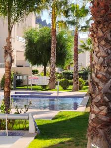 une cour avec des palmiers et une piscine dans l'établissement Villa Amalia Eco, à Torrevieja