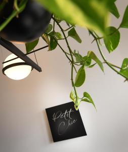 a sign on a wall next to a plant at Victoria by Petit Chic in Mellieħa