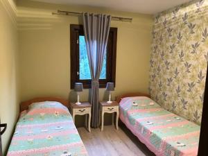 1 dormitorio con 2 camas y ventana en Roua - Apuseni Mountains, en Pietroasa