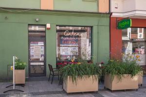 Zdjęcie z galerii obiektu Central Platinum Apartments 21 w Rybniku