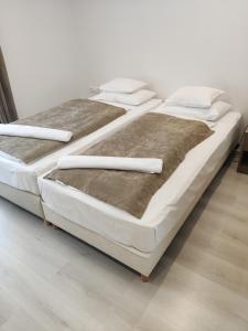セゲドにあるMokka Apartman Szegedのベッド2台が隣同士に設置された部屋です。