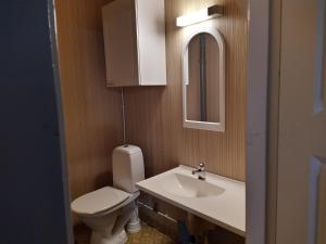 La salle de bains est pourvue de toilettes, d'un lavabo et d'un miroir. dans l'établissement Holiday House Mäntyniemi, à Hossa