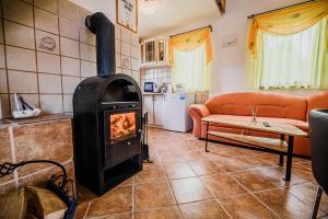 a living room with a wood stove in a room at Holiday Home Vesna with Sauna in Brežice