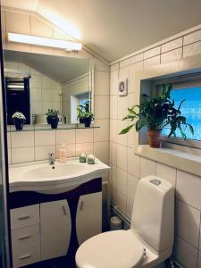 y baño con aseo, lavabo y espejo. en Northcape Nature Rorbuer - 2 - Balcony South, en Gjesvær