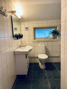 baño con aseo y lavabo y ventana en Northcape Nature Rorbuer - 2 - Balcony South, en Gjesvær