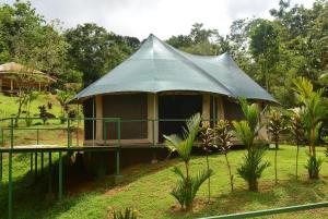 a small tent in a field with trees at Manoas in Uvita