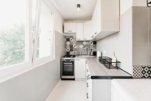 Kuchyňa alebo kuchynka v ubytovaní Nocosfera Apartament Górnośląski
