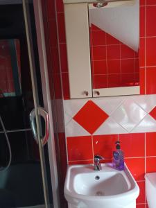 a bathroom with a sink and a mirror and red tiles at Sve u jednom in Bijelo Polje