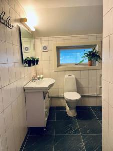 La salle de bains est pourvue de toilettes, d'un lavabo et d'une fenêtre. dans l'établissement Northcape Nature Rorbuer - 3 - Dock North, à Gjesvær