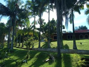 uma vista para a casa a partir do quintal com palmeiras em CHACARA VALE DOS SONHOS LUGAR ENCANTADOR em Bom Jesus dos Perdões