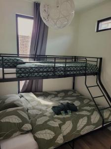 sypialnia z 2 łóżkami piętrowymi w pokoju w obiekcie Het Zonnetje w mieście Wijk aan Zee